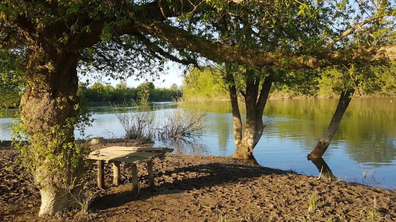 Guest House Studio Apartman Marina - With Jacuzzi, Free Parking, Pet Friendly Karlovac Zewnętrze zdjęcie